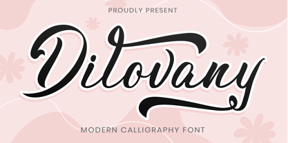 Dilovany Font Poster 1