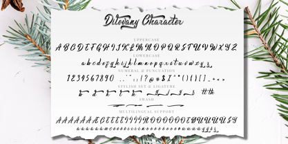 Dilovany Font Poster 8