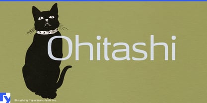 Ohitashi Font Poster 1