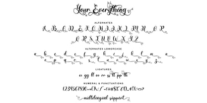 Your Everything Font Poster 8