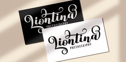 Liontine Script Font Poster 6