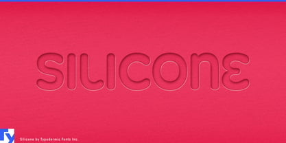 Silicone Font Poster 1