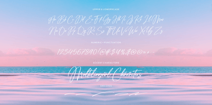 Tropical Harmony Font Poster 6