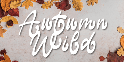 Wild Autumn Font Poster 1