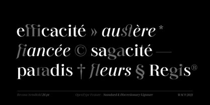 Revaux Font Poster 11