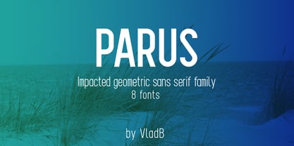 Parus Font Poster 1