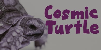 Cosmic Turtle Font Poster 1