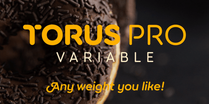 Torus Pro Font Poster 3