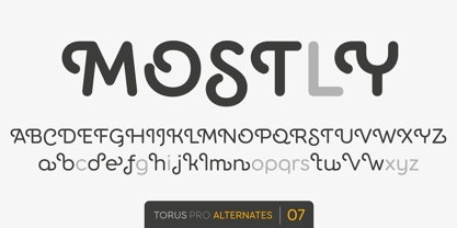 Torus Variations Font, Webfont & Desktop