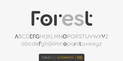 Torus Pro Font Poster 11