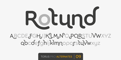 Torus Pro Font Poster 14