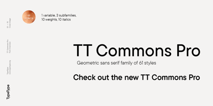 TT Commons Classic Font Poster 2