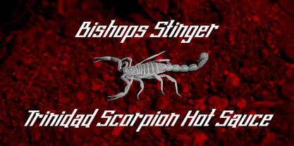 Bishops Stinger Font Poster 3