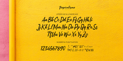 Tropicalismo Font Poster 4