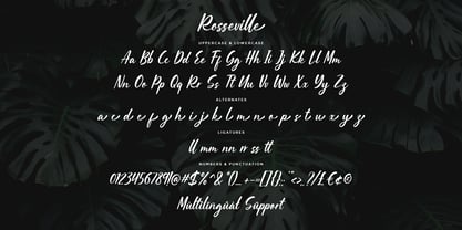 Rosseville Font Poster 6