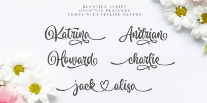 Blantick Script Font Poster 4