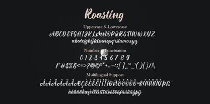 Roasting Font Poster 6