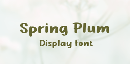 Spring Plum Font Poster 1
