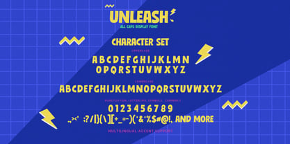 Unleash Font Poster 8