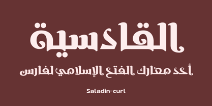 SF Saladin Font Poster 3