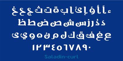 SF Saladin Font Poster 11