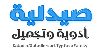 SF Saladin Font Poster 12