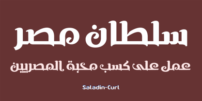 SF Saladin Font Poster 5