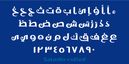 SF Saladin Font Poster 10