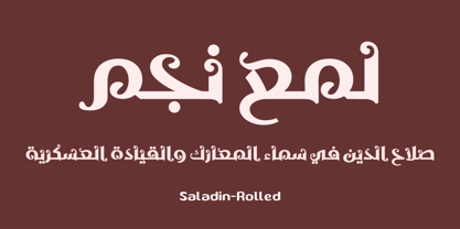SF Saladin Font Poster 4