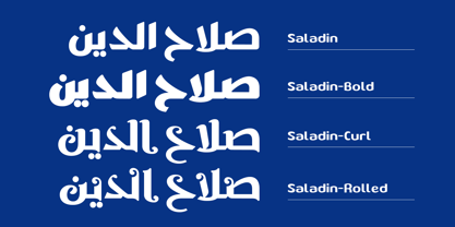 SF Saladin Font Poster 2
