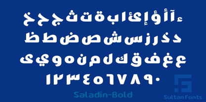 SF Saladin Font Poster 9
