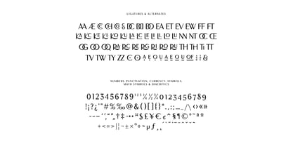 Florensans Font Poster 6