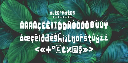 Tropicalia Type Font Poster 5