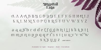 Bhostra Lala Font Poster 9