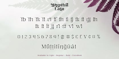 Bhostra Lala Font Poster 10