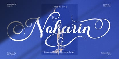 Nokarin Font Poster 1