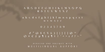 Airy Restoration Font Poster 8