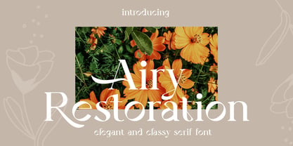 Airy Restoration Font Poster 1