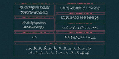 Constaline Script Font Poster 11
