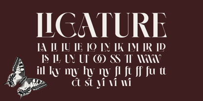 Neima Font Poster 7