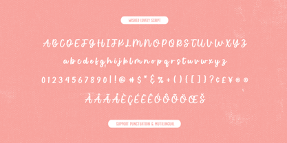 Wished Lovely Font Poster 11