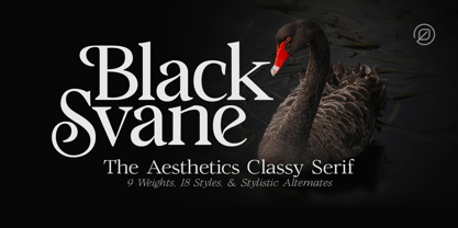 Black Svane Font Poster 2