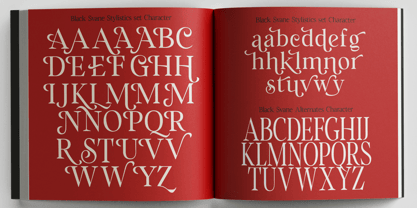 Black Svane Font Poster 10