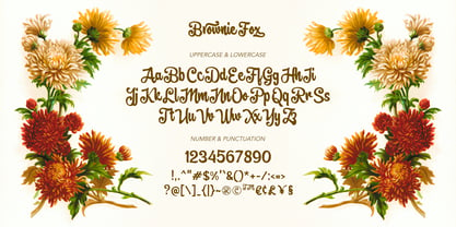 Brownie Fox Font Poster 4