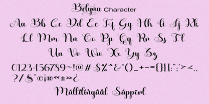 Belyna Font Poster 9