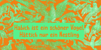 Fundevogel Font Poster 5