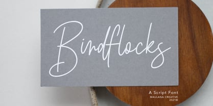 Birdflocks Font Poster 1