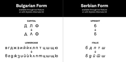 Solanel Font Poster 22