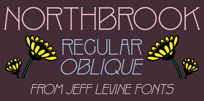 Northbrook JNL Font Poster 1