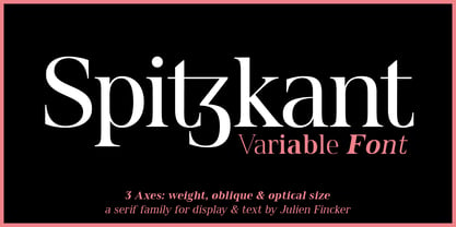 Spitzkant Variable Font Poster 1